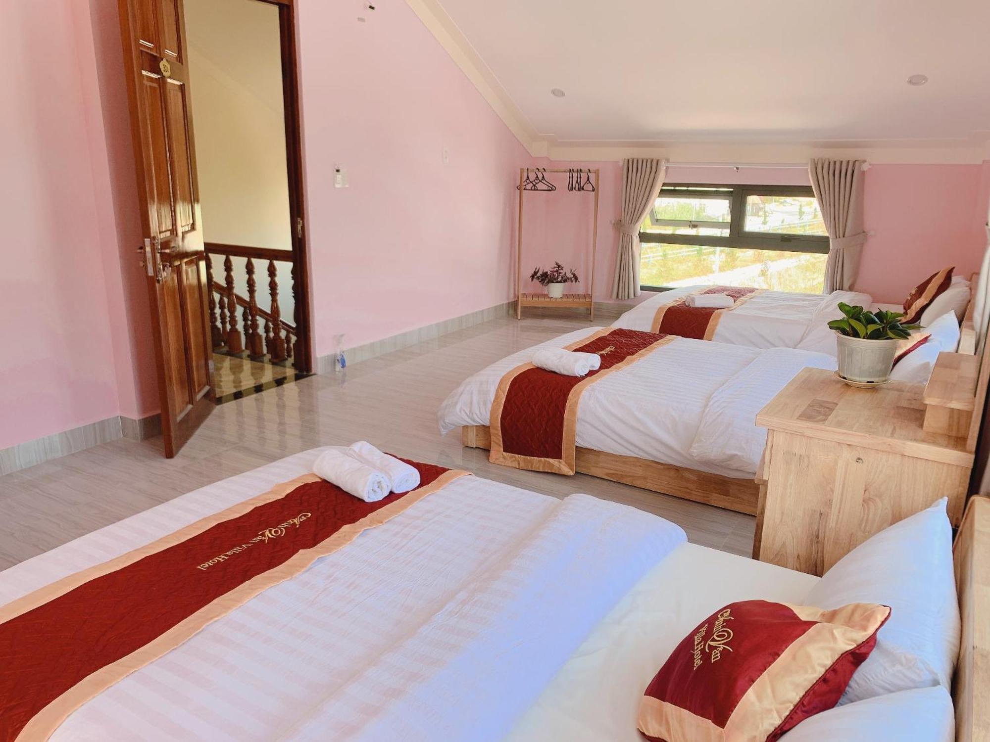 Anh Van Villa Hotel دالات المظهر الخارجي الصورة